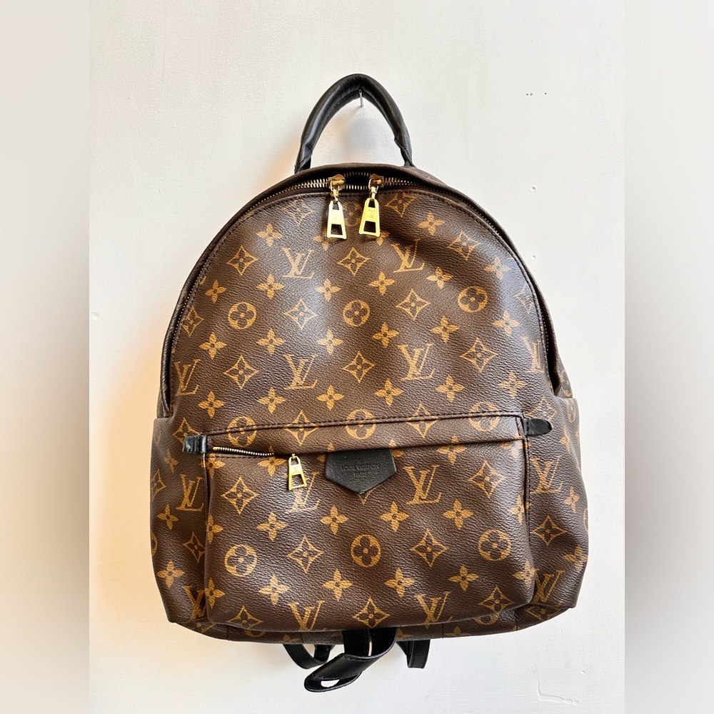 Louis Vuitton Palm Springs Medium Backpack